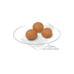 Royal Canin Crocchette Cane Extra Small Adult 1,5kg
