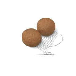 Royal Canin Crocchette Cane Maxi Adult 4kg
