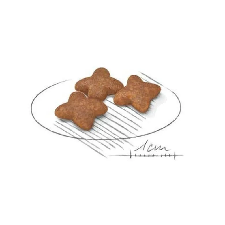 Royal Canin Crocchette Per Cani Adulti Taglia Mini Sacco 4kg