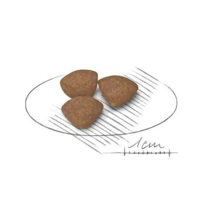 Royal Canin Crocchette Per Cuccioli Taglia Mini Sacco 800g