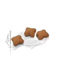 Royal Canin Kitten Sterilised Crocchette Per Gatti Sterilizzati 400g