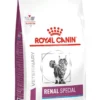 Royal Canin Renal Special Cibo Secco Per Gatti 400g
