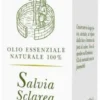SALVIA SCLAREA