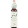 Santiveri Ainsworths Honeysuckle fiori di bach 10ml
