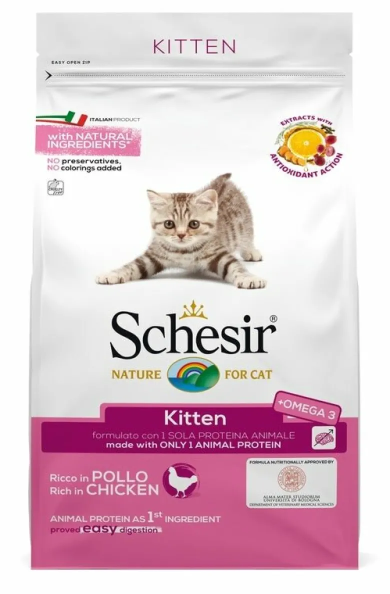 Schesir Kitten