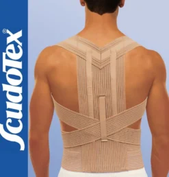 Scudotex Raddrizzaspalle Posturale Con Fascia Lombare Altezza Cm 16 Taglia 1