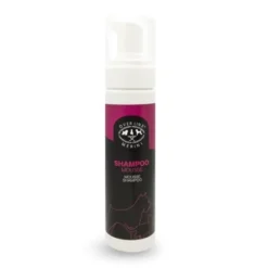 Shampoo Secco Mousse