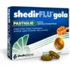 Shedirflu Gola Mentolo/Eucalipto 48 Pastiglie