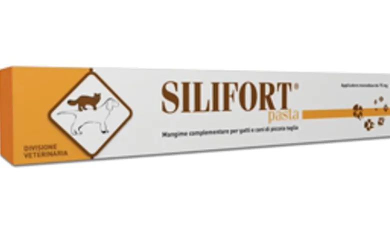 Silifort pasta 30g