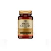 Solgar Amino Cisteina 500 30 capsule vegetali