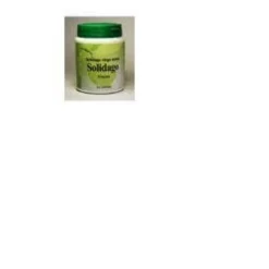 Solidago