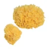 Spugna Naturale Mare Numero 3 Grande 1 Pezzo