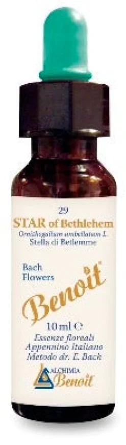 STAR OF BETHLEHEM