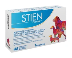 STIEN