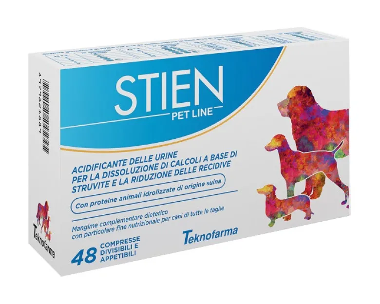 STIEN