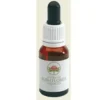 Sunshine Wattle Essenza Singola 15ml Gocce