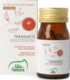 Tarassaco