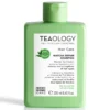 Teaology Matcha Hair Repair Shampoo 250ml
