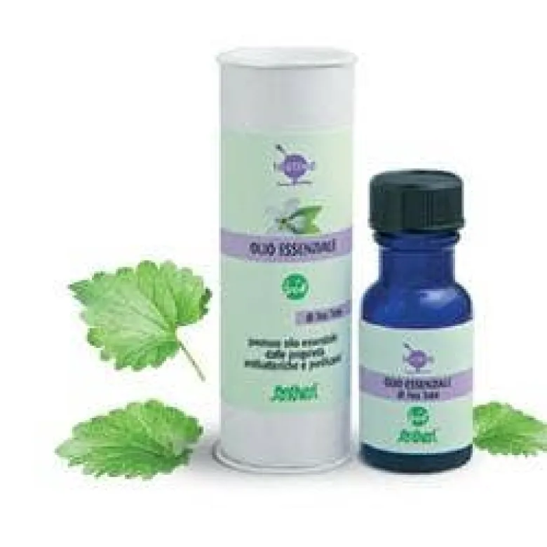 Tea Tree Bio
