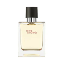 Terre d'Hermes eau de toilette 100 ml