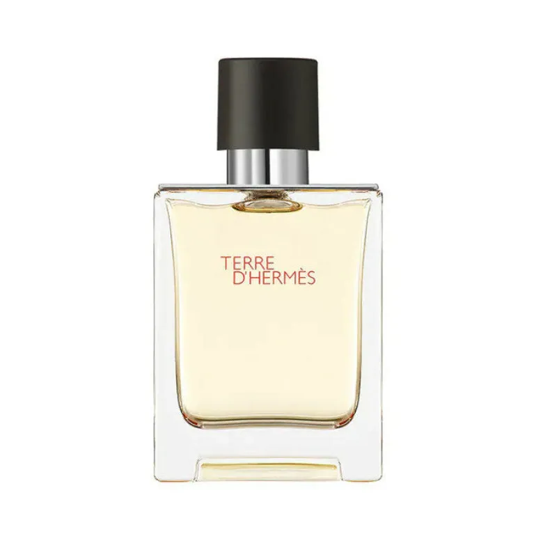 Terre d'Hermes eau de toilette 100 ml