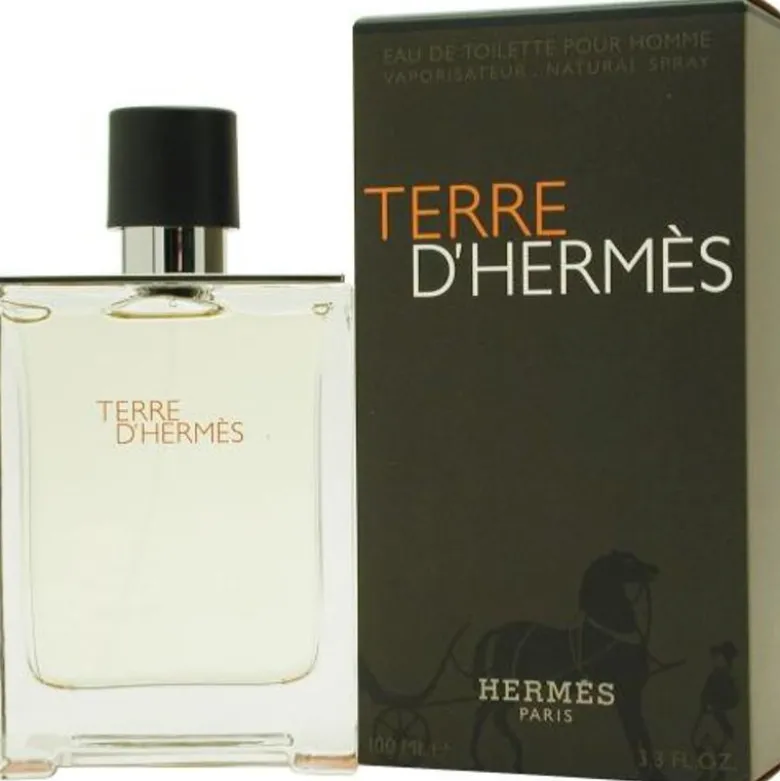 Terre d'Hermes eau de toilette 100 ml