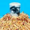 Toiletpaper Candle Eye e Mouth Fico & Lavanda 200g
