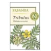 Tribulus