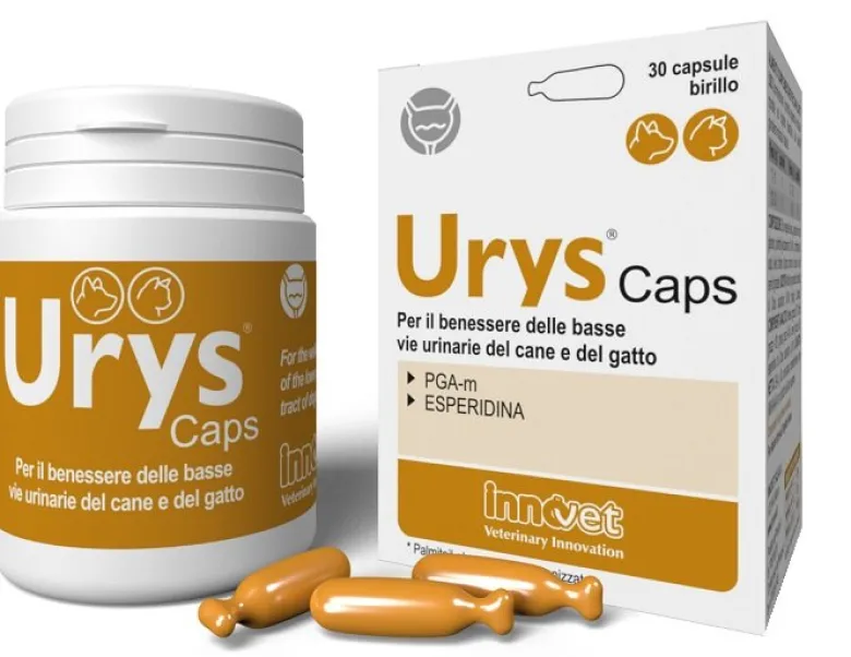 Urys Caps per il benessere delle vie urinarie di cane e gatto 30 capsule birillo