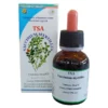 Vaccinium Myrtillus