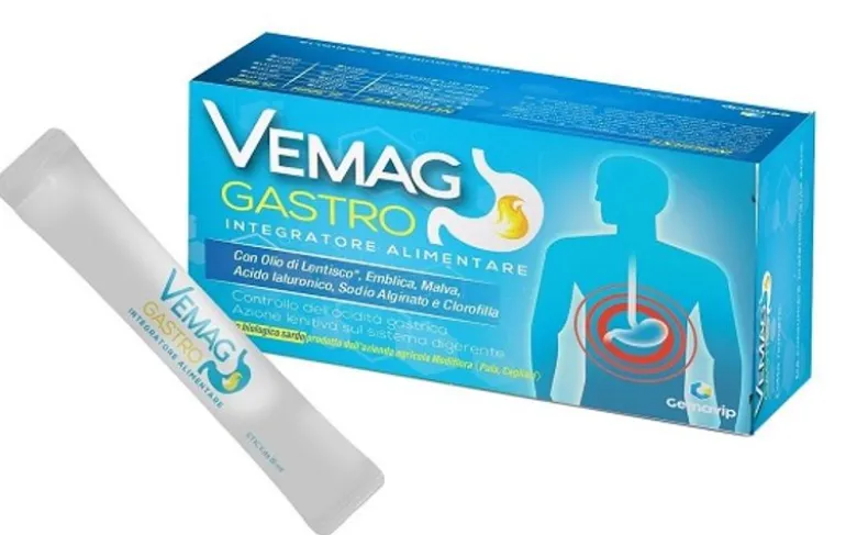 Vemag Gastro 20 Stick