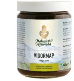 Vigormap respirazione 600g in pasta
