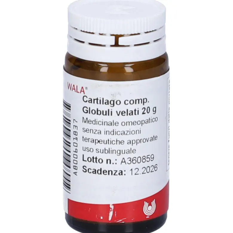 WALA CARTILAGO COMPOSITUM GLOBULI