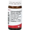 Wala Echinacea Argentum Omeopatico 20g