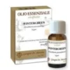 WINTERGREEN