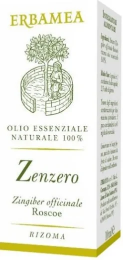 ZENZERO