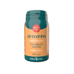 Zenzero