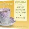 ZENZERO LIMONE