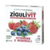 Zigulìvit Frutti di Bosco integratore di Vitamine 40 palline